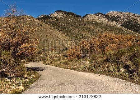 Rural road in the mountains in the autumn, sunny day (region Achaia, Greece)