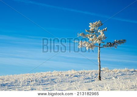 Winter in the Karkaraly Mountains.
Karkaraly mountains - a mountain range in the Karaganda region of Kazakhstan.