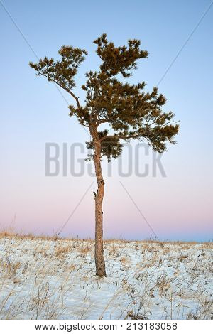 Winter in the Karkaraly Mountains.
Karkaraly mountains - a mountain range in the Karaganda region of Kazakhstan.