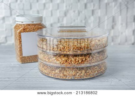 Sprouter with wheat grass seeds on wooden table