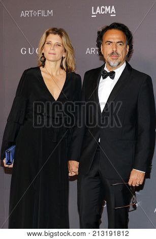 Maria Eladia Hagerman and Alejandro Gonzalez Inarritu at the 2017 LACMA Art + Film Gala held at the LACMA in Los Angeles, USA on November 4, 2017.
