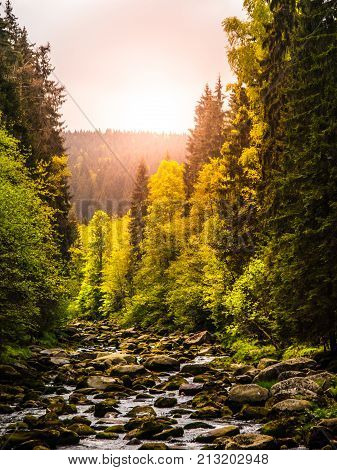 Mountain river with huge stones in the forest. Vydra river, Sumava National Park, Czech Republic.