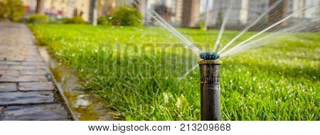 automatic sprinkler system watering the lawn on a background of green grass, close-up