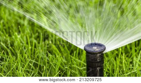 automatic sprinkler system watering the lawn on a background of green grass, close-up