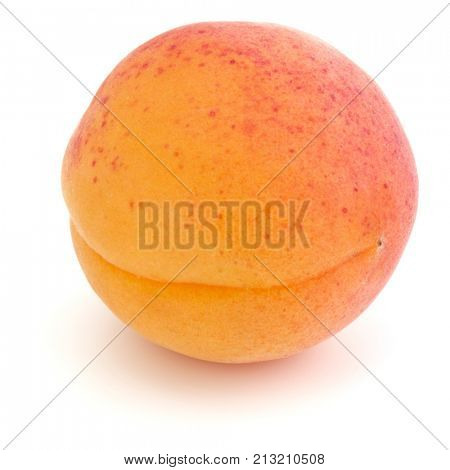One apricot isolated on white background cutout