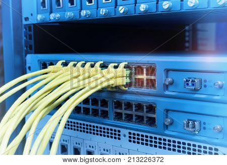 network cable connecting on network core switch close up