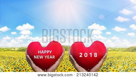 Hand Raising Red Heart In Sun Flower Field