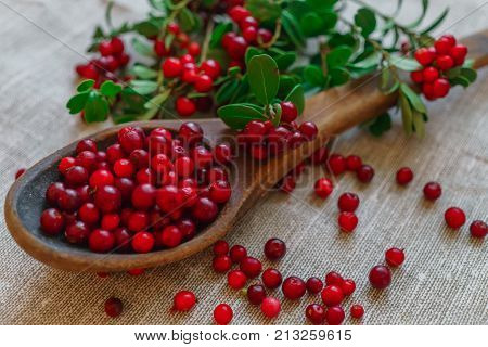 Berries of red lingonberry in a wooden spoon along with twigs on a table.