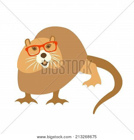 nutria rodent in glasses vector illustration flat style front