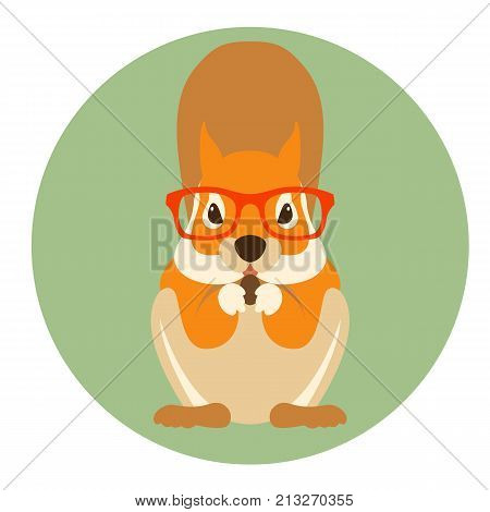 squirrel rodent in glasses vector illustration flat style front