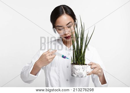 Attractive young Asian female scientist in protective eyewear and white coat genetically modifying plant with syringe. Pretty woman biologist giving injection of nutrients and vitamins into flower