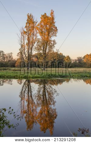 The river Naab next to Schwandorf in bavaria with trees in fall autumn