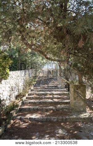 Natural stone steps go upstairs in the park