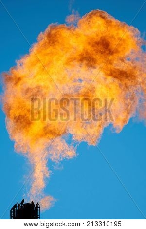 Combustion of associated petroleum gas.
Associated gas, is a form of natural gas which is found with deposits of petroleum.