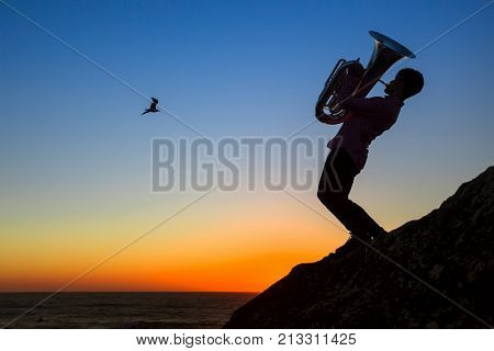 Silhouette of musician play Tuba on sea shore at sunset.