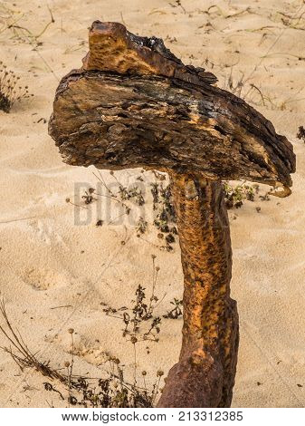 Natural Cemetery Of Marine Anchors At Barril Beach, Portugal