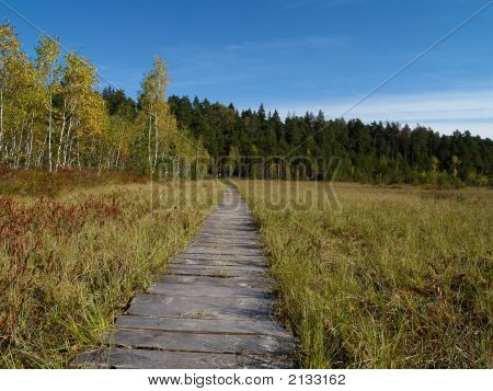 Modo in legno