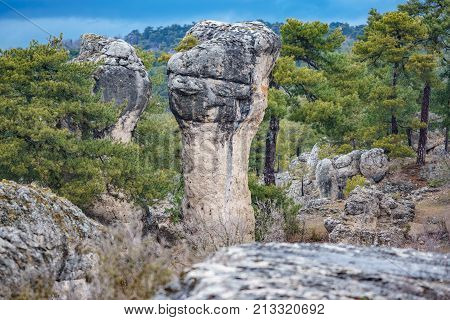 Closeup of the unreal karstic formations in the Majadas park, Cuenca, Spain