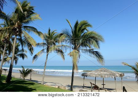 Panoramic view of Mancora, Peru with palm trees and blue skies