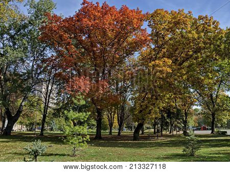 Popular Zaimov park  for rest and walk with auntual  yellow foliage, Oborishte district, Sofia, Bulgaria