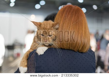 Girl Holding A Cat On Her Shoulder
