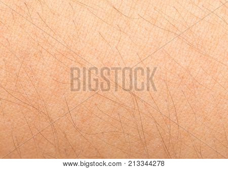 background of human skin . Photo of an abstract texture