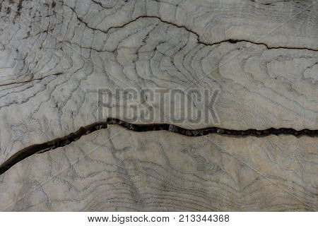 wood tree trunk strucutre with vertical crack surface