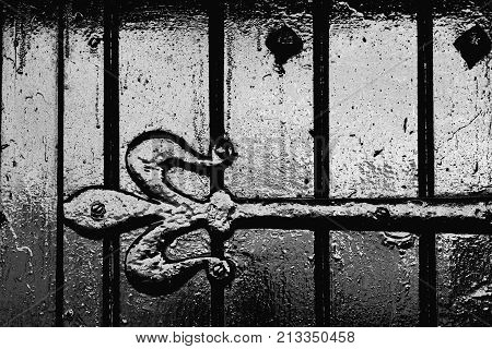 Black shiny painted door with a fleur-de-lys hinge