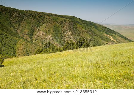 beautiful mountains in Kazakhstan. nature . In the park in nature