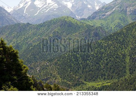 beautiful mountains in Kazakhstan. nature . In the park in nature