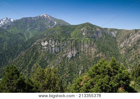 beautiful mountains in Kazakhstan. nature . In the park in nature