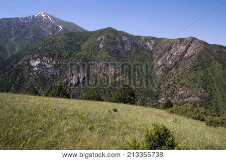 beautiful nature. Mountains in Kazakhstan . In the park in nature
