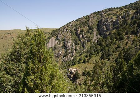 beautiful nature. Mountains in Kazakhstan . In the park in nature
