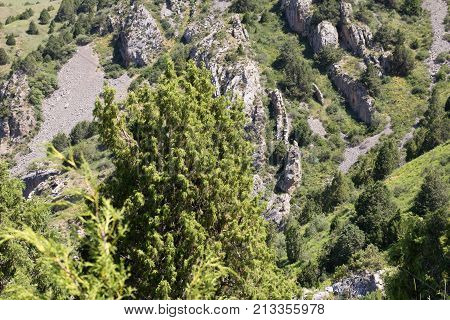 beautiful nature. Mountains in Kazakhstan . In the park in nature