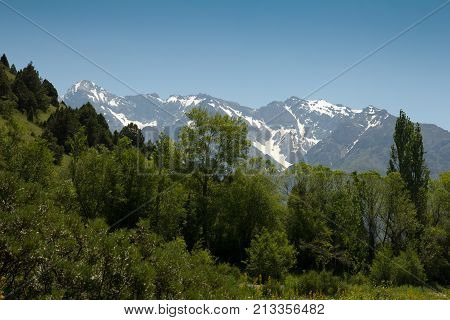 beautiful nature. Mountains in Kazakhstan . In the park in nature