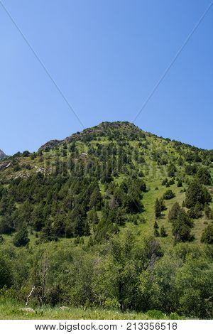 beautiful nature. Mountains in Kazakhstan . In the park in nature