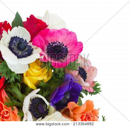 Fresh colorful anemones and roses flowers isolated over white background