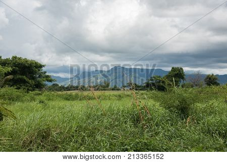 Lush, tropical rainforest, grassy field and mountain landscape under a stormy sky in Nadi, Fiji