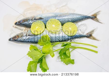 Fresh saba fish and Spicy soup isolated on white background