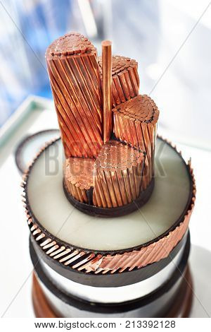 Large Copper Power Cable In Section