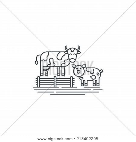 Farm cows line icon. Outline illustration of two cows vector linear design isolated on white background. Farm logo template, element for agriculture business, line icon object