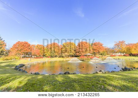 Japan autumn Beautiful autumn leaves of Obuse park Nagano PrefectureJapan.