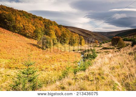 Autumn in Cairngorms National Park, on the Snow Road or Old Military Road which is a scenic drive through the Cairngorms National Park which is full of colour in the autumn