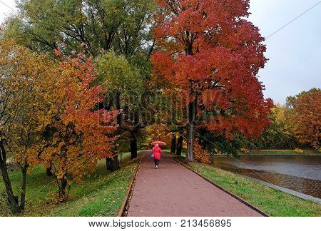 Red yellow and green foliage on trees in Terletsky Park in Moscow