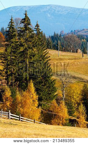 Autumn Carpathian Village, Ukraine.