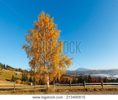 Autumn Carpathian Village, Ukraine.