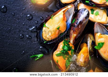 Mussels, molluscs, seaweed, sea plants, ice on old vintage rustic metal background. Top view, copy space. Toned sunny effect