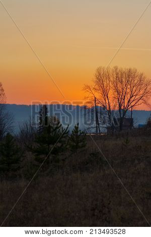 Tree without leaves in a field at sunset. Ural, Russia.