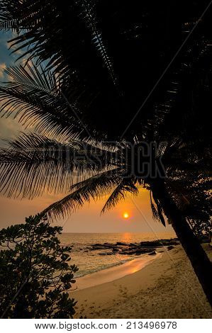 Tropical Landscape Of Koh Kood