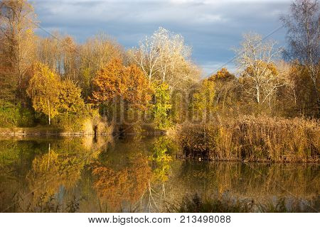 Autumn scenery near a lake in Germnay